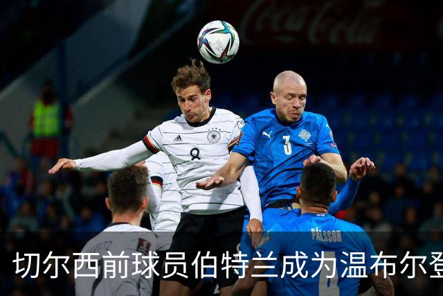 切尔西前球员伯特兰成为温布尔登的投资代表