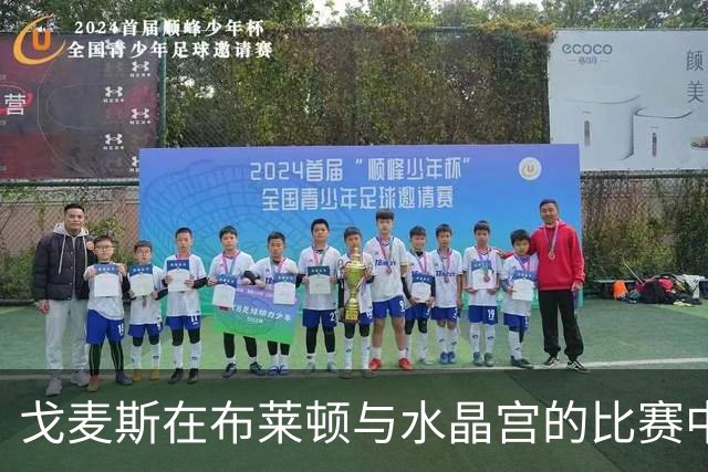 戈麦斯在布莱顿与水晶宫的比赛中完成惊艳中圈吊射
