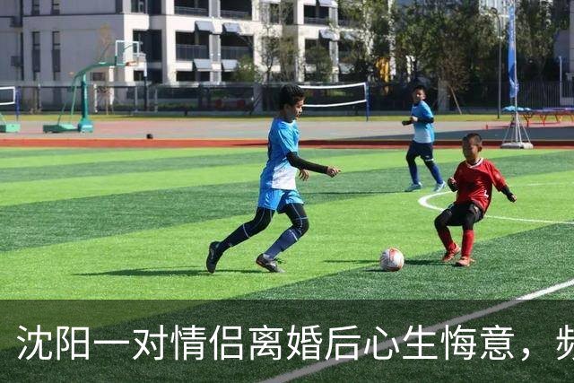沈阳一对情侣离婚后心生悔意，频发短信重燃旧情